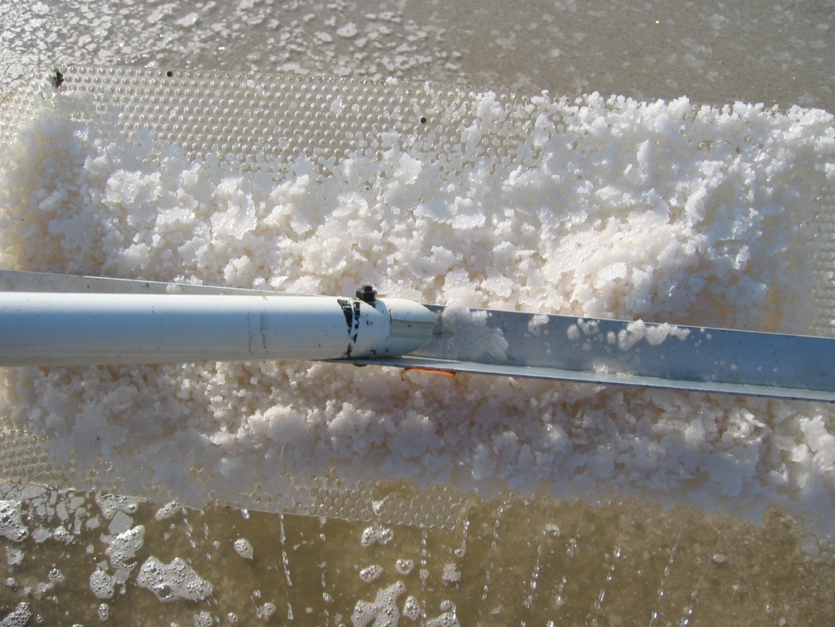 Fleur de Sel Gewinnung - hier werden die fragilen Salzkristalle von der Oberläche abgeschöpft